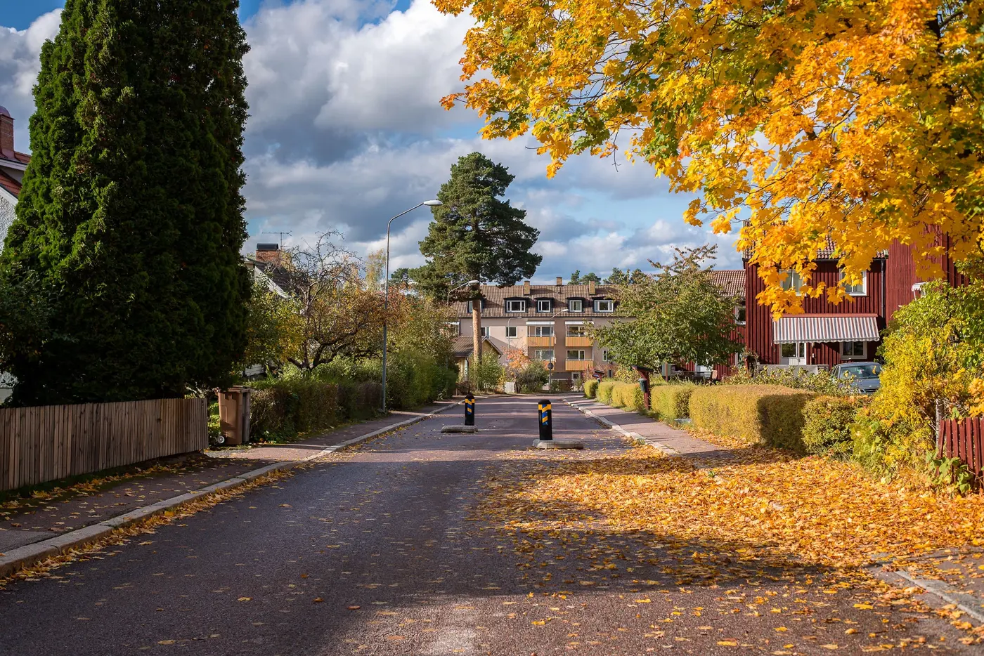 En asfalterad väg löper genom ett bostadsområde. Två refuger finns uppsatta lite längre fram.